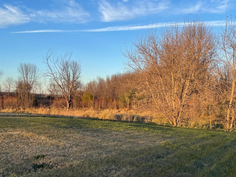Lot 6 Block 1 Donway Dr NE, Alexandria, MN 56308