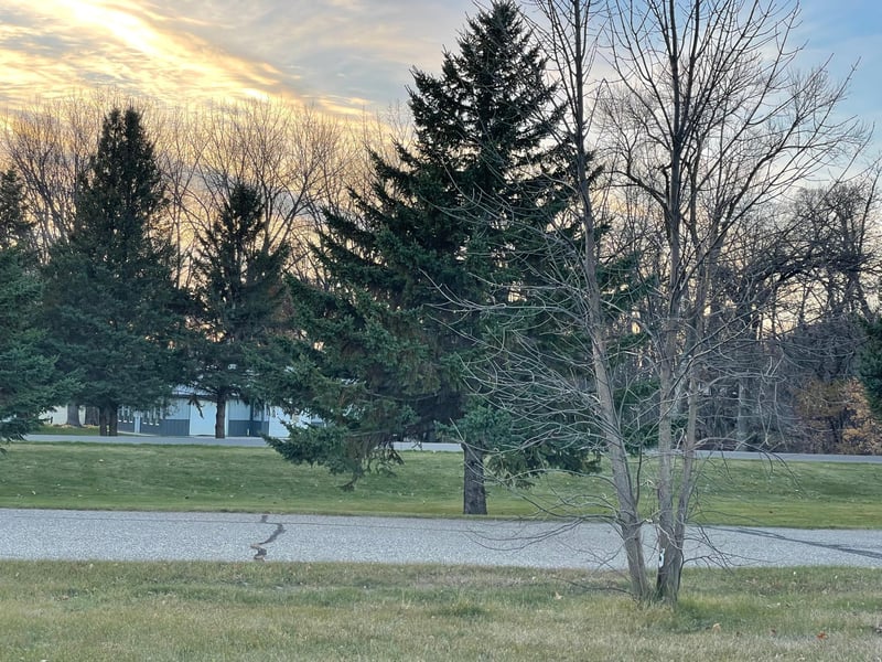 Lot 10 Block 2 Moorstone Dr NE, Alexandria, MN 56308