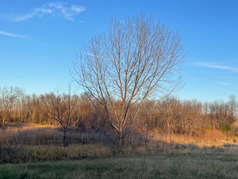 Lot 11 Block 1 Donway Pl NE, Alexandria, MN 56308