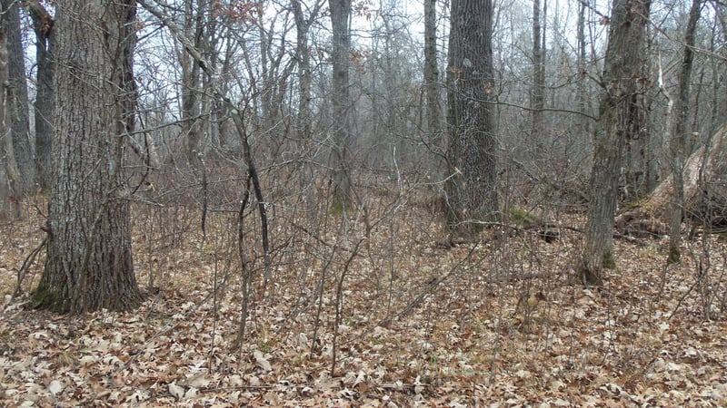 Lot 6 Canute Creek Trl, Grantsburg, WI 54840