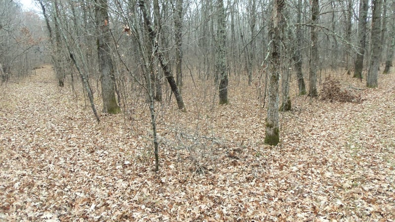 Lot 6 Canute Creek Trl, Grantsburg, WI 54840