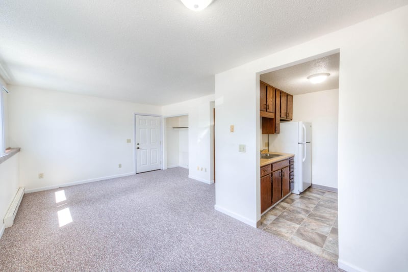 18 NE Schmitz St, Adams, MN 55909