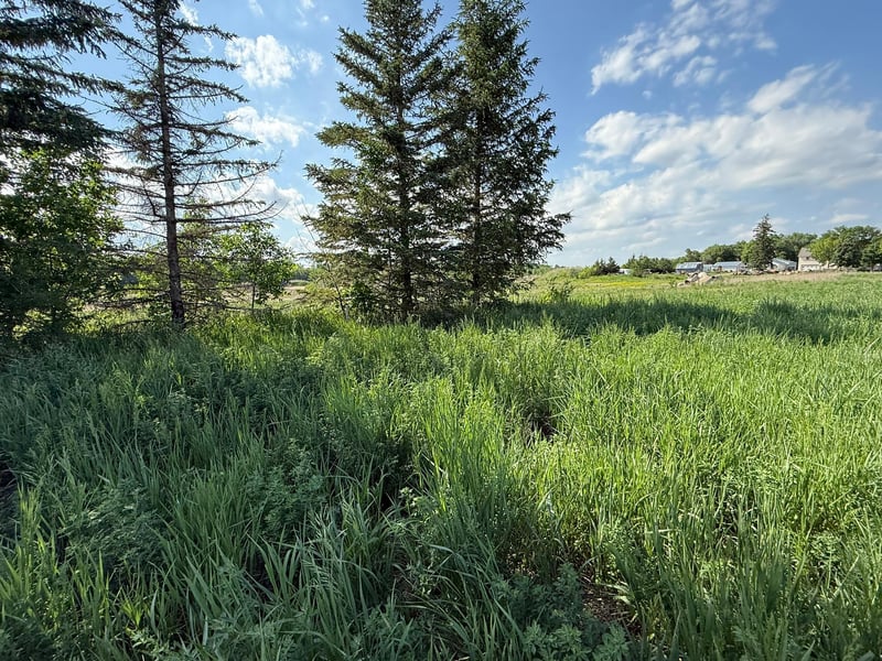 8292 Cabot Ave, Medford, MN 55049