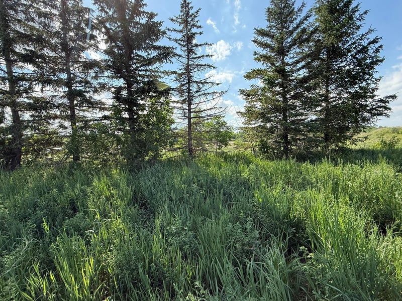 8292 Cabot Ave, Medford, MN 55049