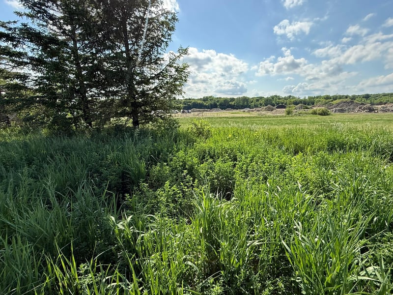 8292 Cabot Ave, Medford, MN 55049