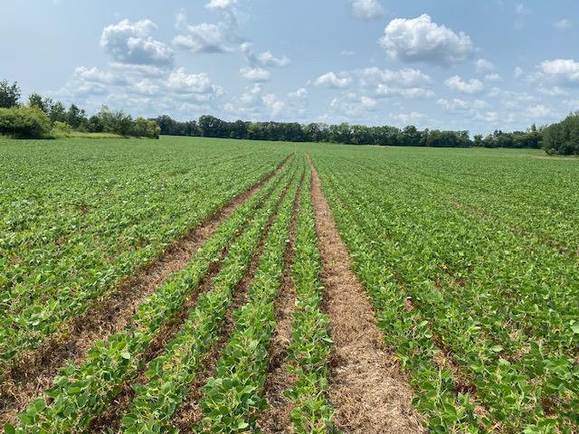 TBD 160th St, Foreston, MN 56330