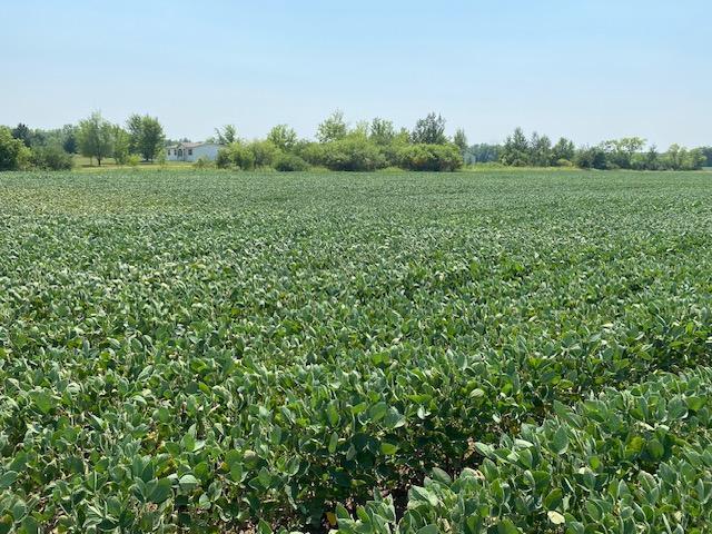 TBD 160th St, Foreston, MN 56330