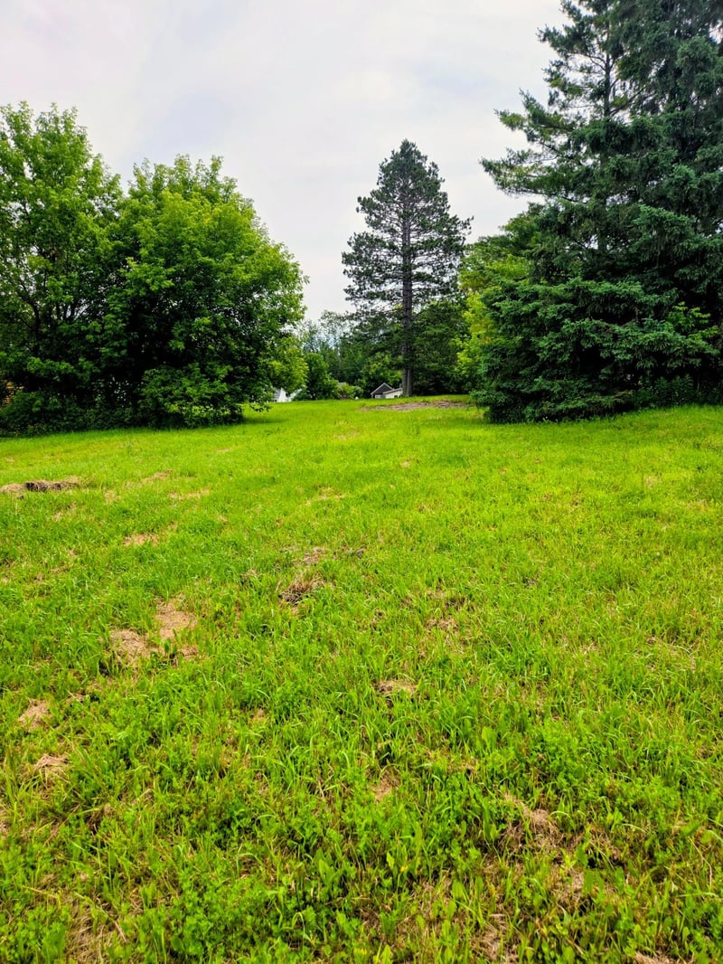 12096 Ramsey St, Northome, MN 56661