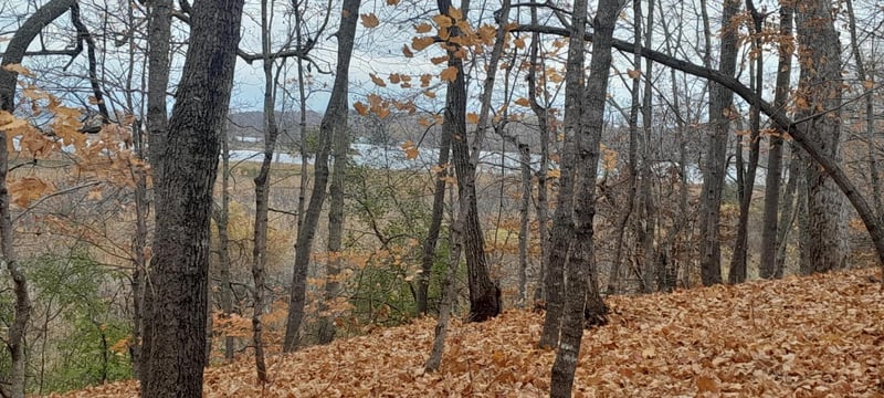 220th 220th St, Clitherall, MN 56524