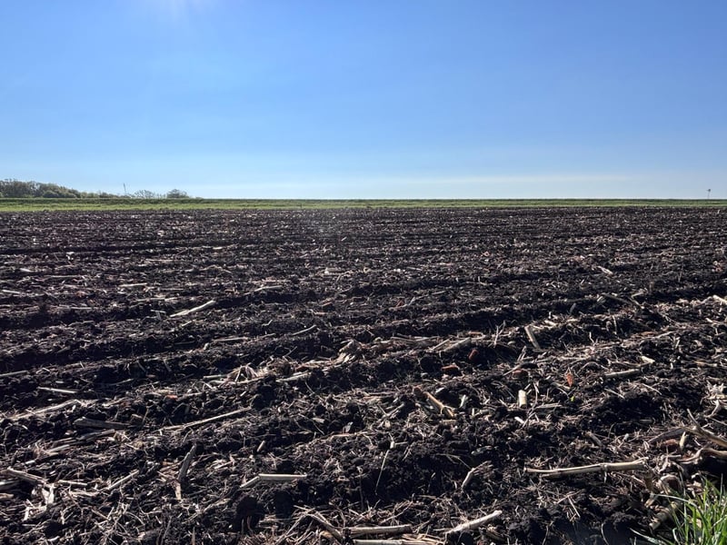 TBD Grandview Rd, Elbow Lake, MN 56531