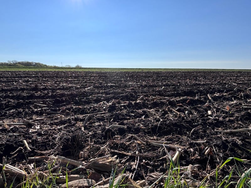 TBD Grandview Rd, Elbow Lake, MN 56531