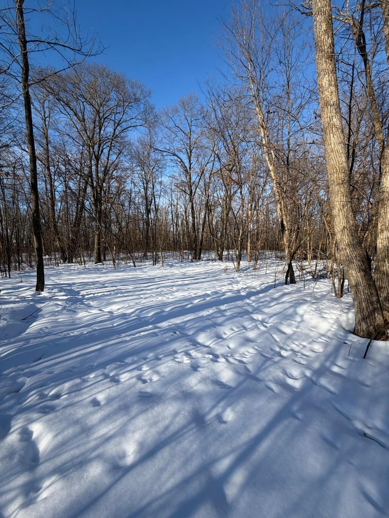 TBD Tbd County Road 12, Ironton, MN 56455
