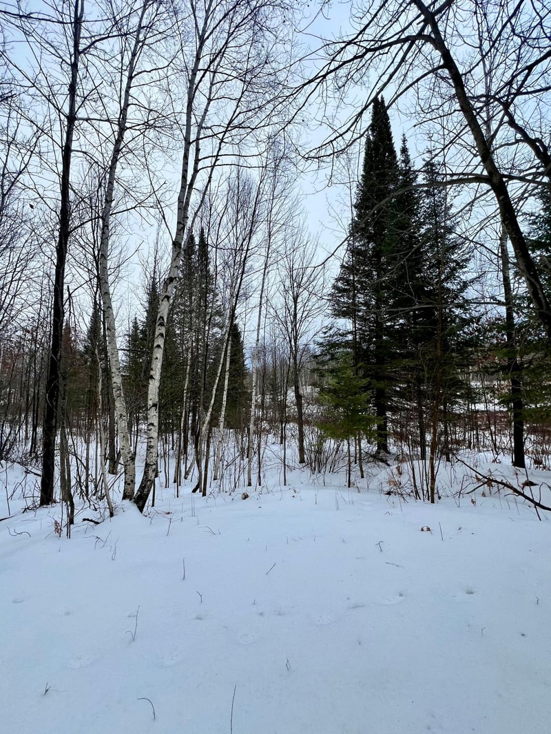 101 Baich Dr, Coleraine, MN 55722
