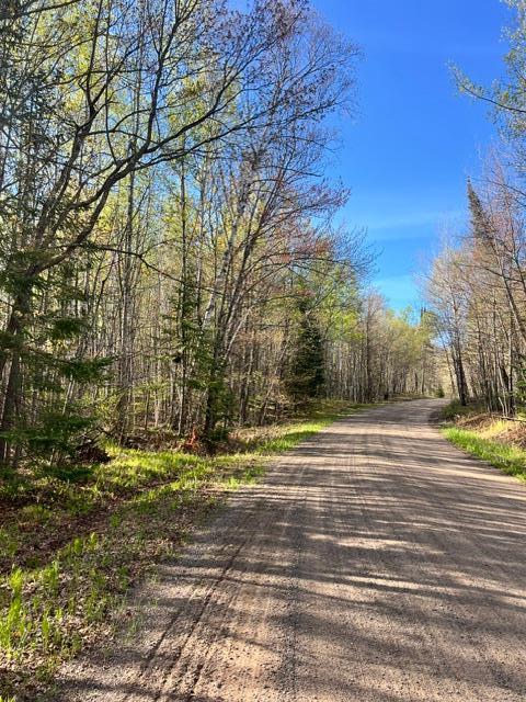 TBD Baich Dr, Coleraine, MN 55722