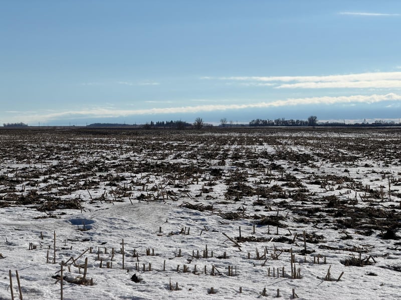 Section 35 Pepperton Township, Alberta, MN 56207