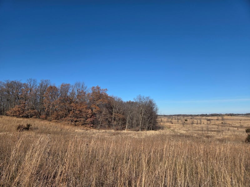 36999 141st Ln, Montgomery, MN 56069