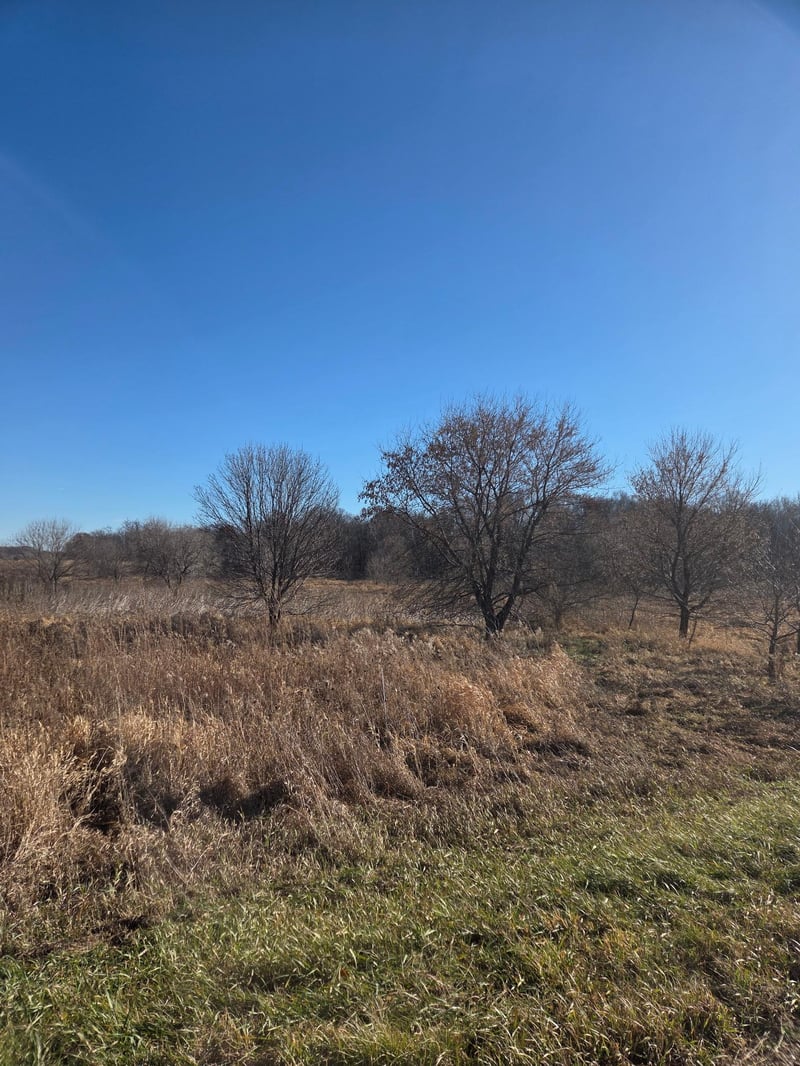 36999 141st Ln, Montgomery, MN 56069