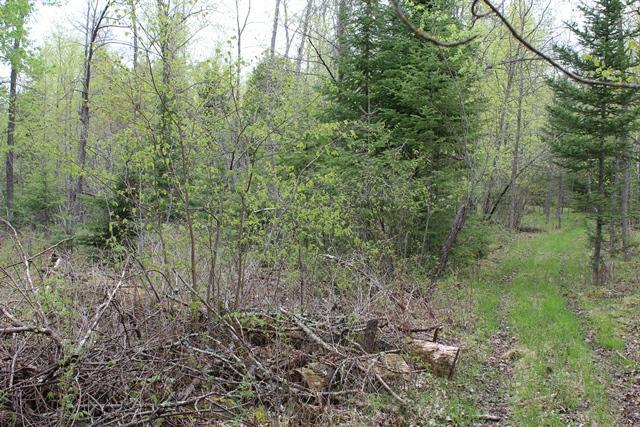 TBD County Rd 19, Deer River, MN 56636