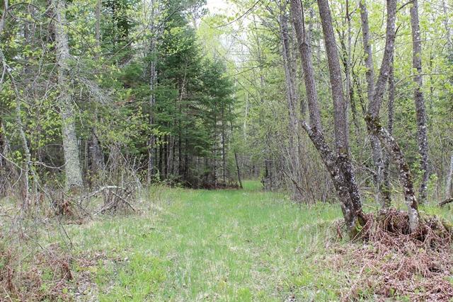 TBD County Rd 19, Deer River, MN 56636