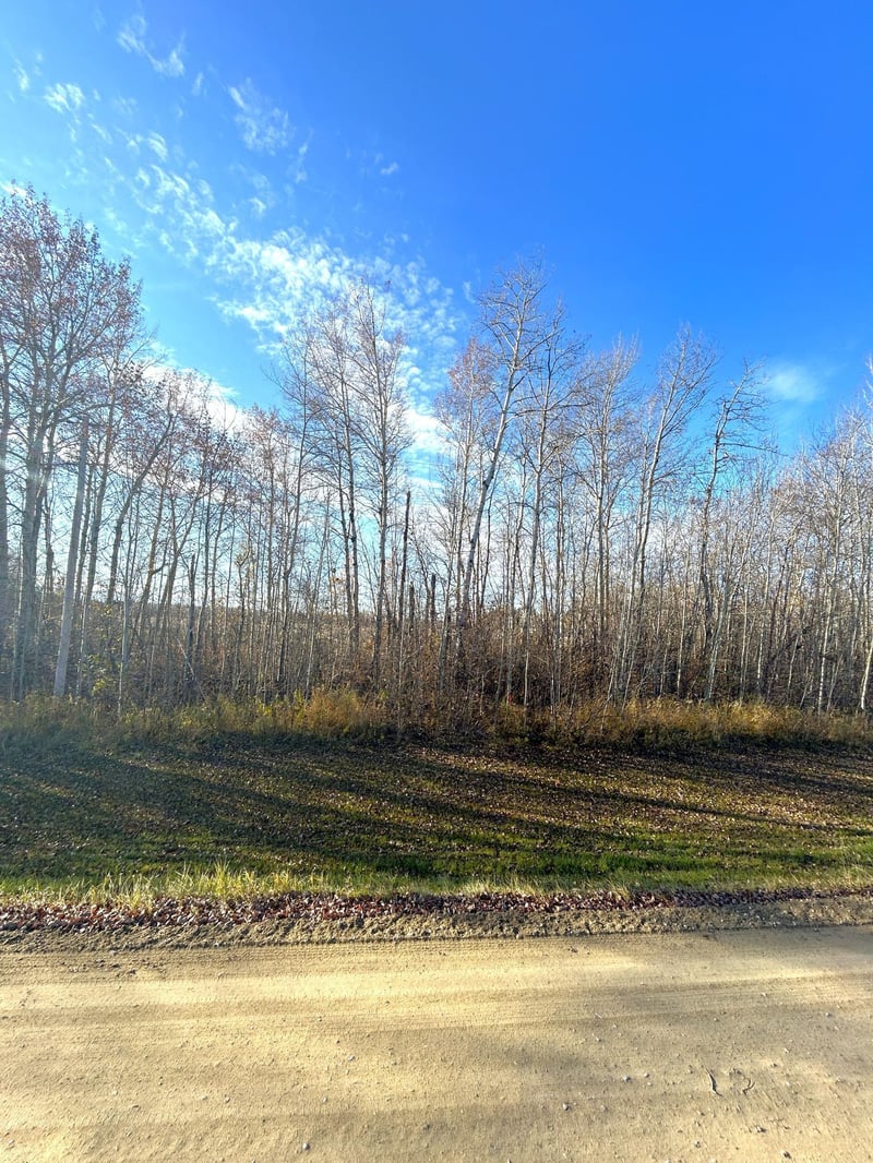 36615 County Road 13, Warroad, MN 56756