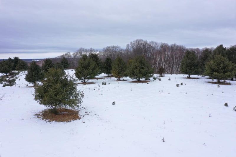 Lot 1 Whispering Pines Rd, Frederic, WI 54837