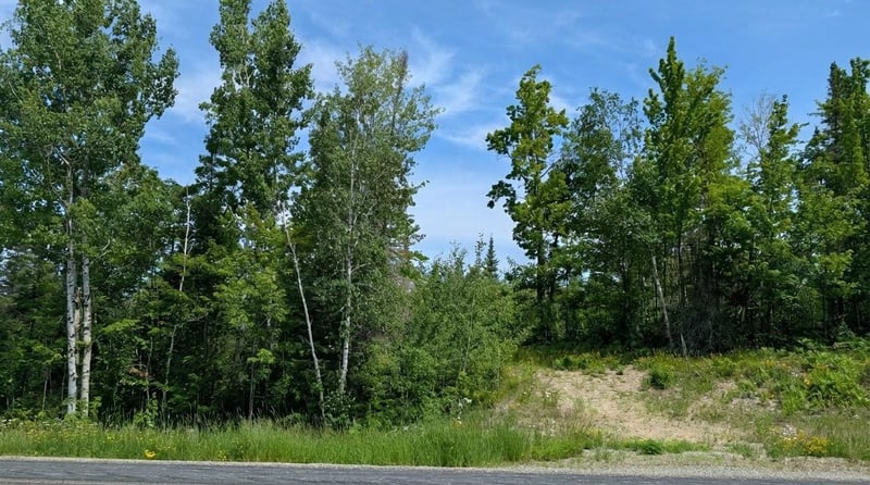 TBD Hwy 22, Cook, MN 55703