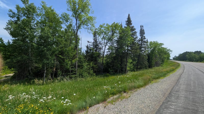 TBD Hwy 22, Cook, MN 55703