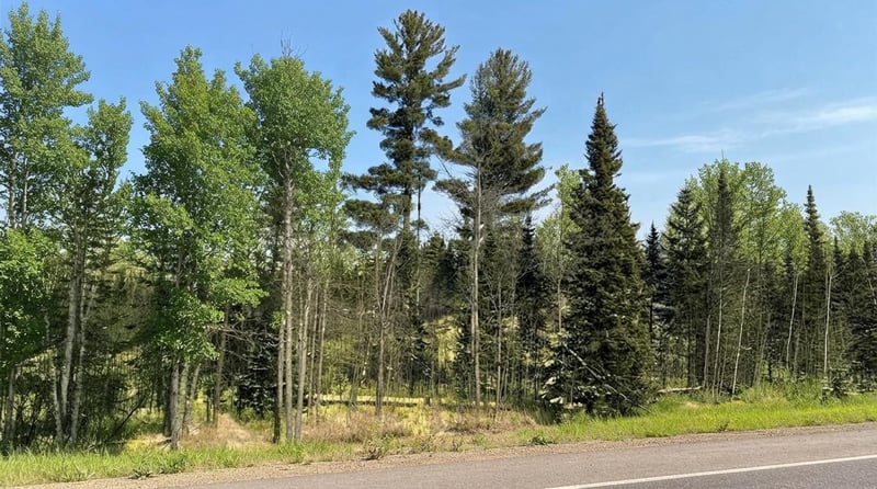 TBD Hwy 22, Cook, MN 55703