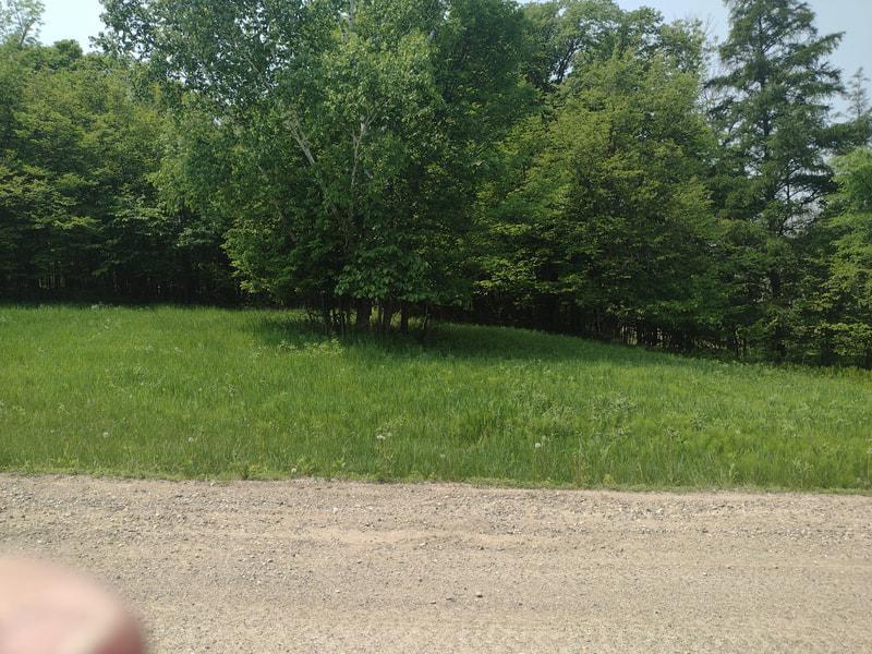 Lot 7 Block 2 Crystal Beach Rd, Pelican Rapids, MN 56572
