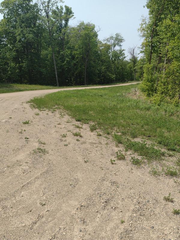 Lot 7 Block 2 Crystal Beach Rd, Pelican Rapids, MN 56572