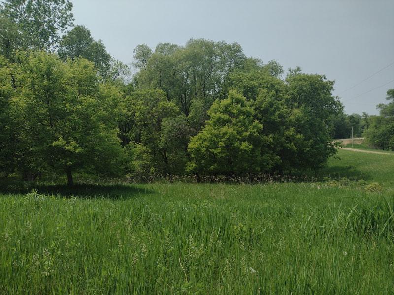Lot 7 Block 2 Crystal Beach Rd, Pelican Rapids, MN 56572