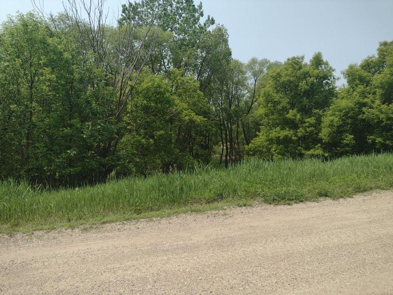 Lot 7 Block 2 Crystal Beach Rd, Pelican Rapids, MN 56572