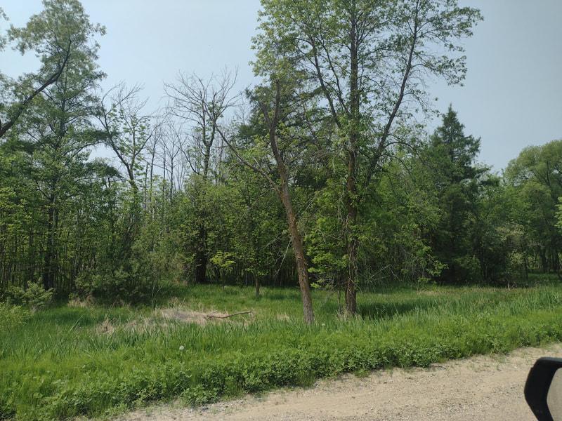 Lot 7 Block 2 Crystal Beach Rd, Pelican Rapids, MN 56572
