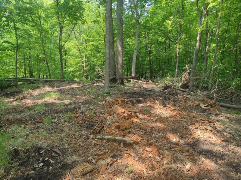 Lot 8 Block 2 Crystal Beach Rd, Pelican Rapids, MN 56572
