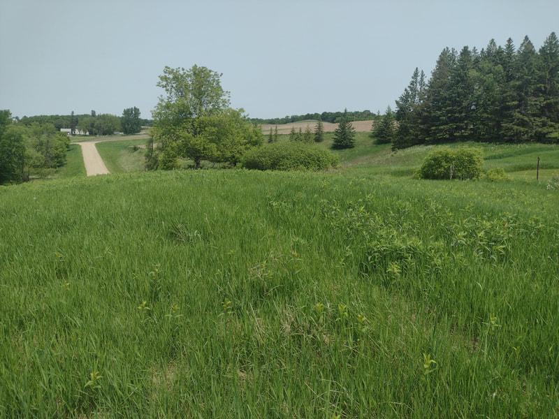 Lot 1 Block 3 Crystal Beach Rd, Pelican Rapids, MN 56572