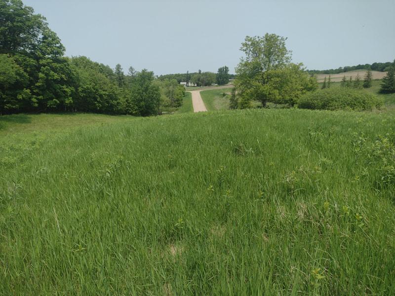 Lot 1 Block 3 Crystal Beach Rd, Pelican Rapids, MN 56572