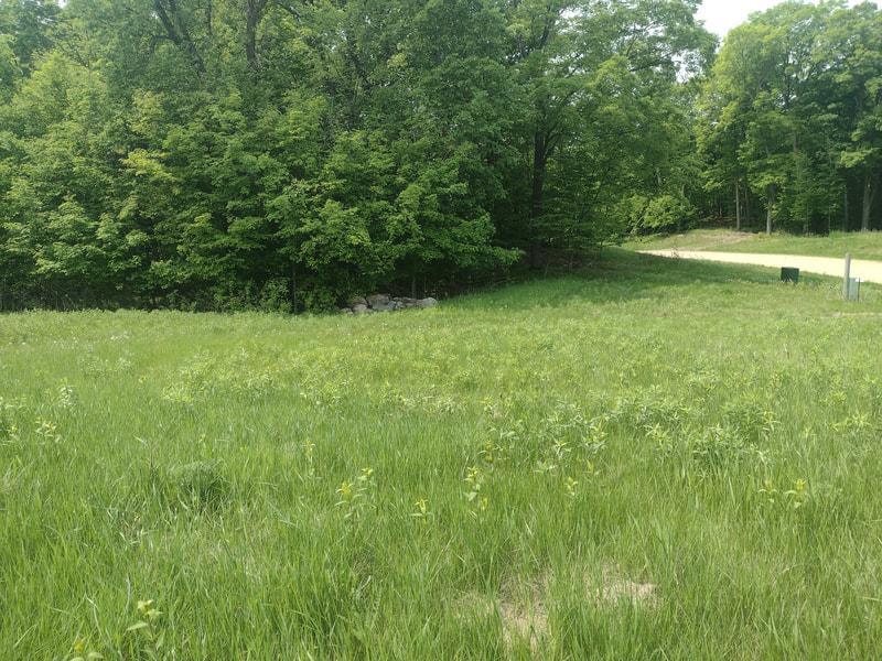 Lot 1 Block 3 Crystal Beach Rd, Pelican Rapids, MN 56572