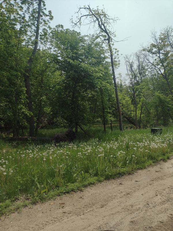 Lot 2 Block 3 Crystal Beach Rd, Pelican Rapids, MN 56572