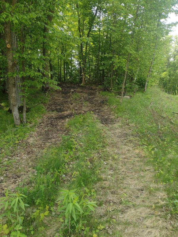 Lot 2 Block 3 Crystal Beach Rd, Pelican Rapids, MN 56572