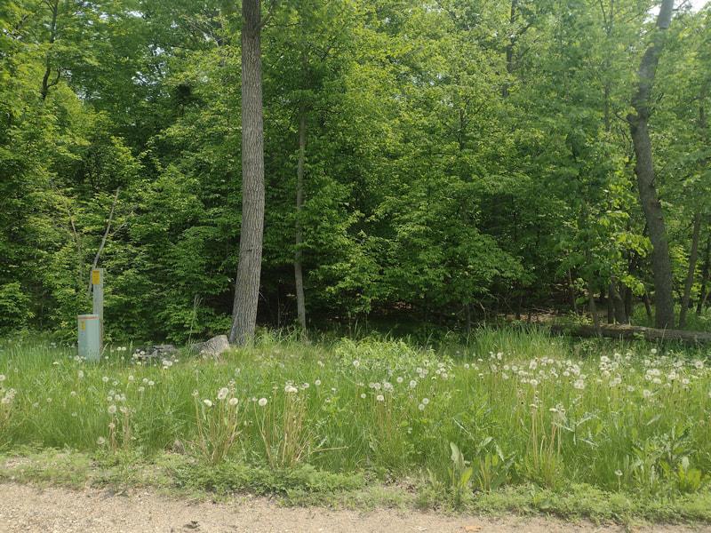 Lot 2 Block 3 Crystal Beach Rd, Pelican Rapids, MN 56572