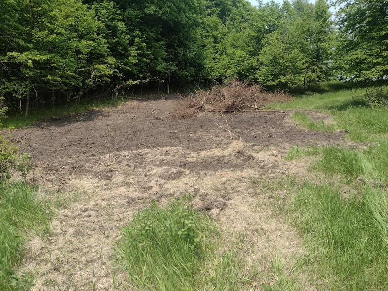 Lot 3 Block 3 Crystal Beach Ln, Pelican Rapids, MN 56572