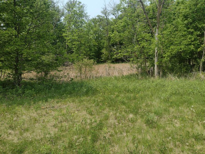 Lot 3 Block 3 Crystal Beach Ln, Pelican Rapids, MN 56572