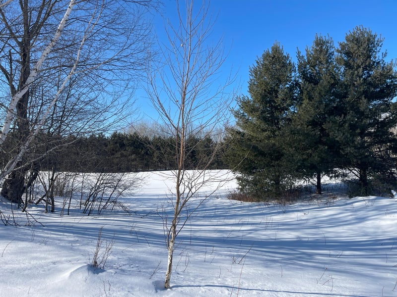 67529 N Pine Rd, Askov, MN 55704