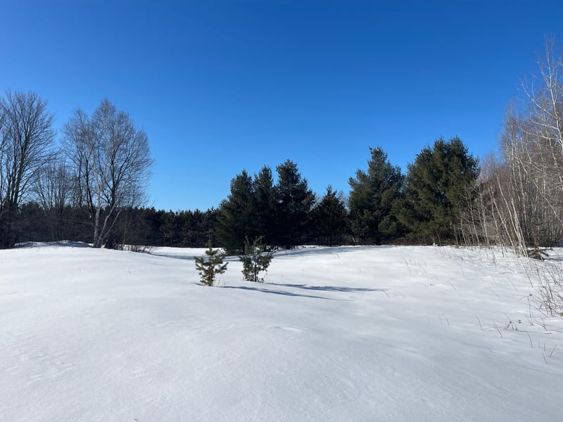 67529 N Pine Rd, Askov, MN 55704