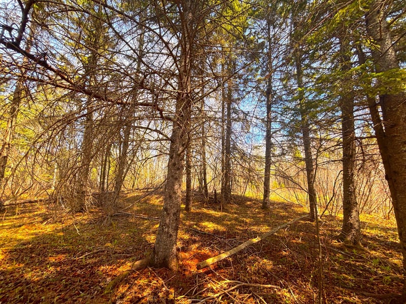 846xx Lenawee Rd, Herbster, WI 54844