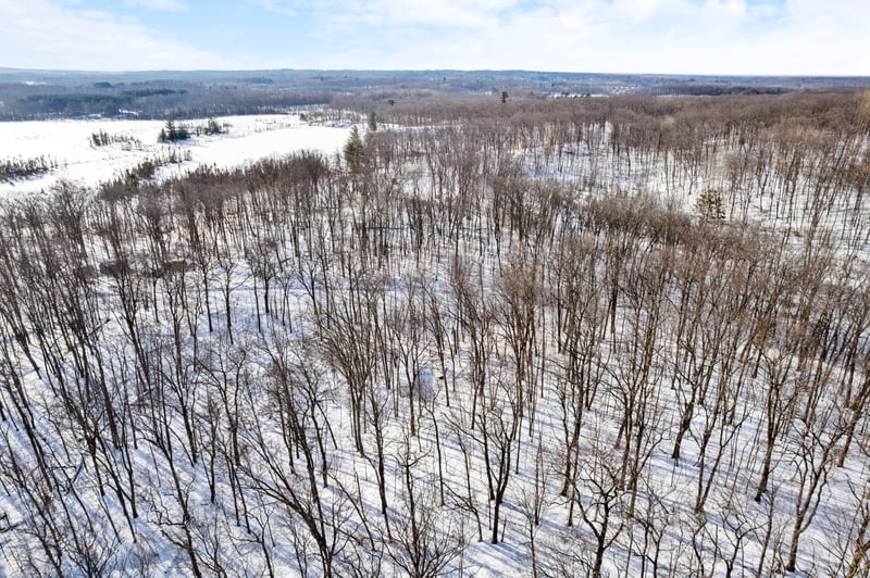 TBD Chestnut Ln, Garrison, MN 56450