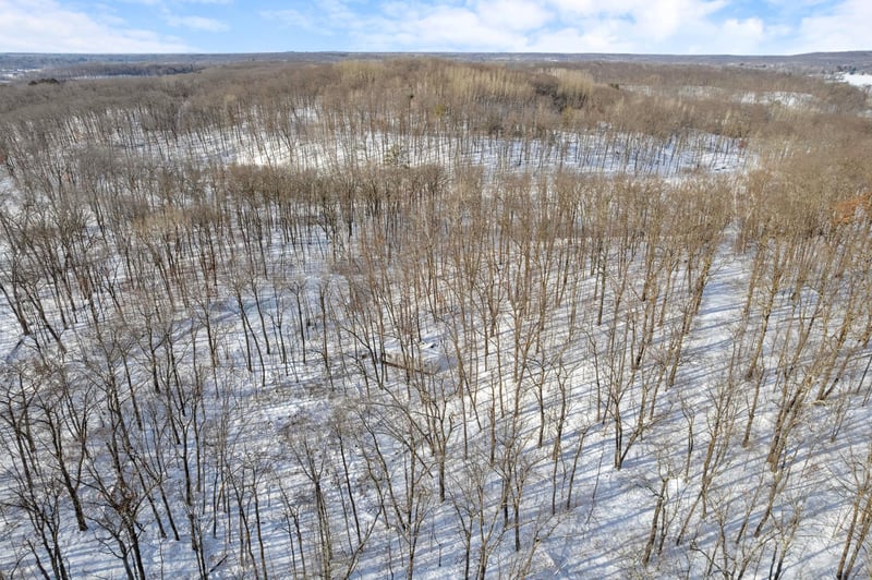 TBD Chestnut Ln, Garrison, MN 56450
