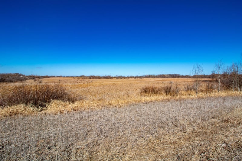 37675 395th St, Dent, MN 56528