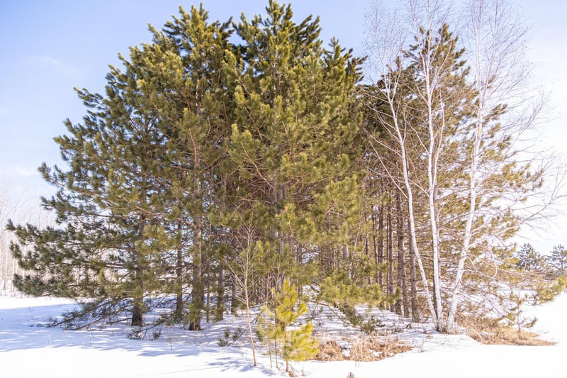 000 Mid River Rd, Pine City, MN 55063
