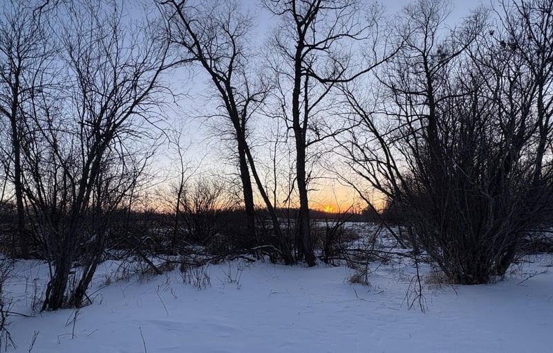 38192 Walker Lake Dr, Richville, MN 56576